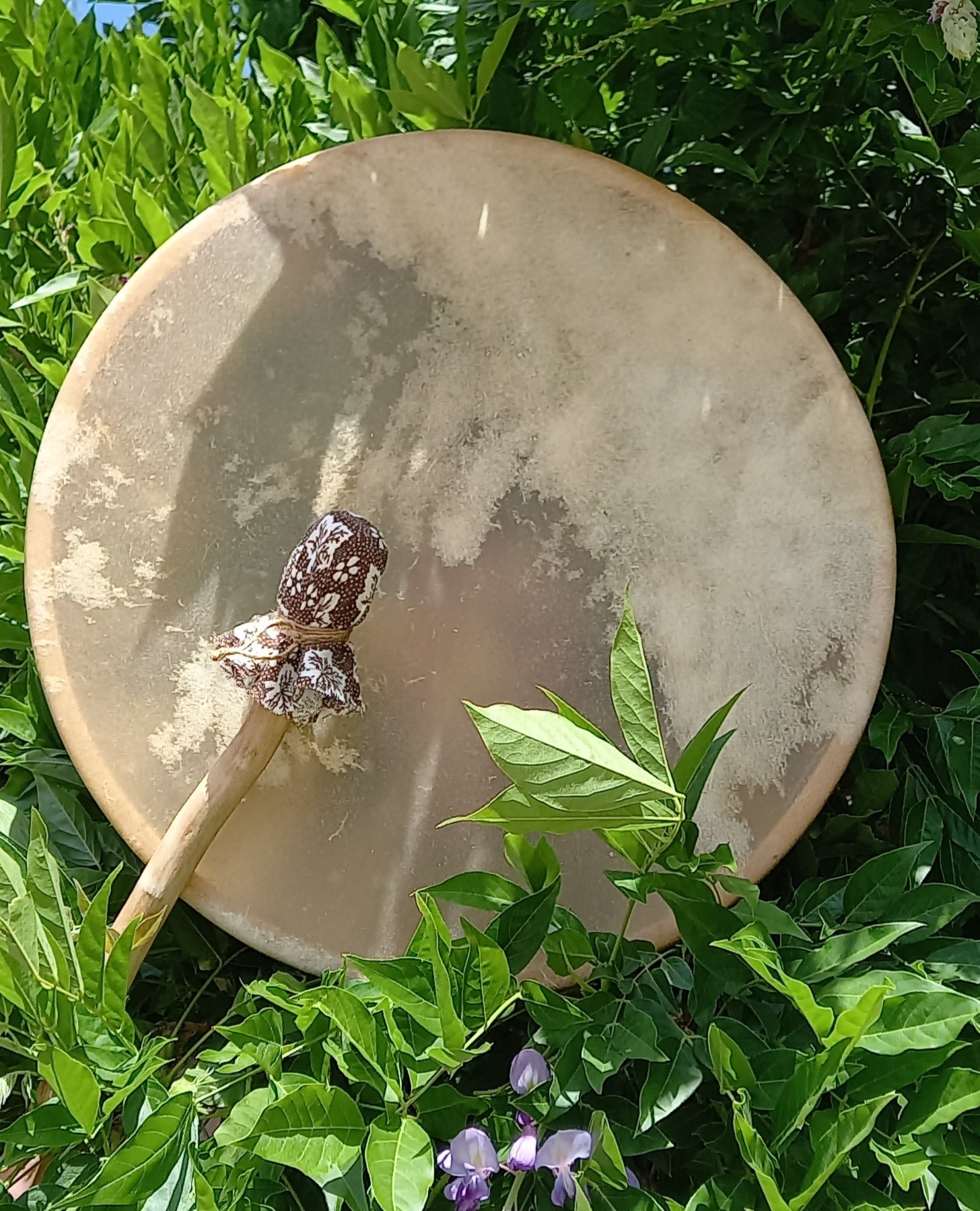 Clica la imagen para acceder al catálogo